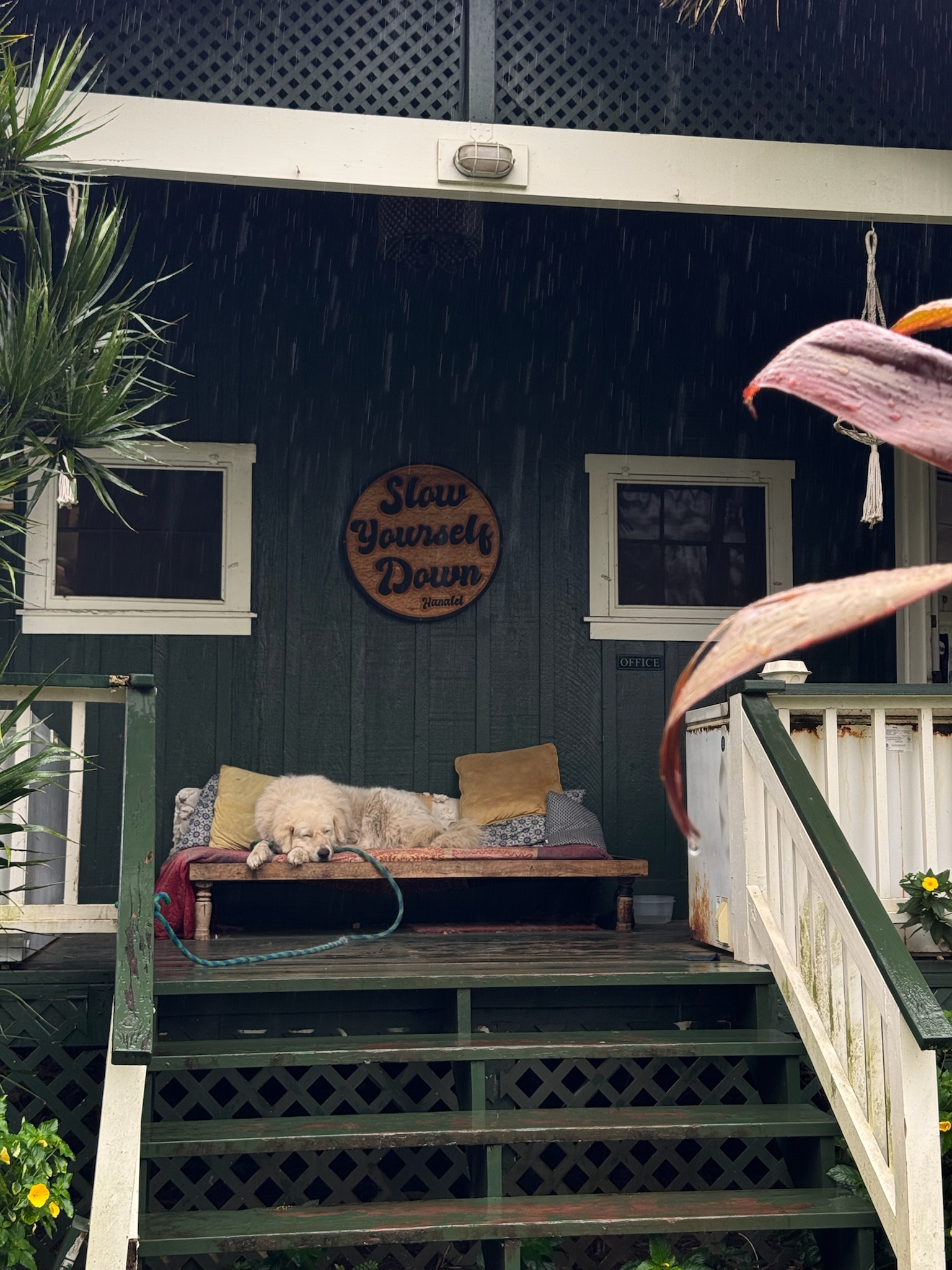 A laid-back beachside café
